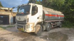 Chusheng Dongfeng Furuika - photo 1