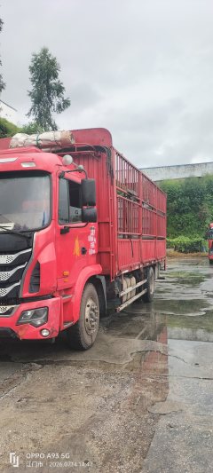 JAC Gallop GAC Higer K5 180 hp 4X2 6.8 m - photo 3