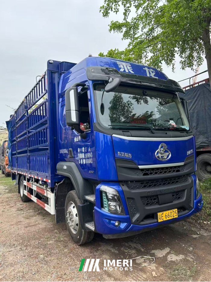 Dongfeng Liuzhou Chenglong H5 220 hp 4X2 6.8 m - სატვირთო ჩინეთიდან