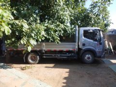 Dongfeng Duolika Dollicar D6 155 hp 4X2 4.2 m - ფოტო 3