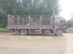 FAW Jiefang J6M 280 hp 6X2 7.7 m - photo 1