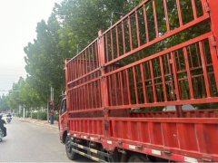Dongfeng Duolika Dollicar D6 131 hp 4X2 3.27 m - ფოტო 4