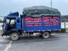 SINOTRUK HOWO Light Duty Truck Royal Faction 130 hp 4X2 4.2 m - ფოტო 3