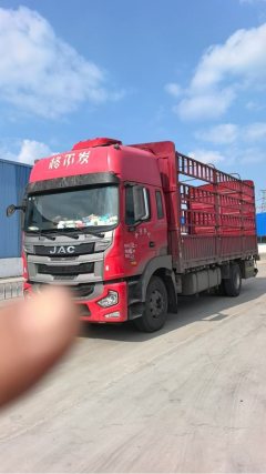 JAC Gallop Gelfa A5 260 hp 8X2 6.8 m - ფოტო 1