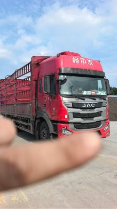 JAC Gallop Gelfa A5 260 hp 8X2 6.8 m - ფოტო 2