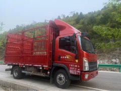 SINOTRUK HOWO Light Duty Truck Royal Faction 160 hp 4X2 4.15 m - ფოტო 3