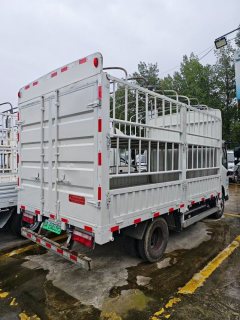 Farizon E200 4.1 m - ფოტო 4