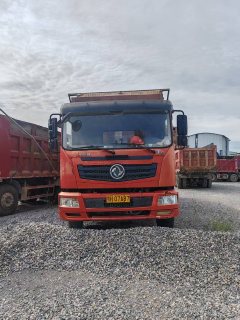 Dongfeng Huashen T5 300 hp 8X4 6.2 m - ფოტო 2