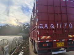Dongfeng Liuzhou Chenglong M3 220 hp 4X2 5.8 m - ფოტო 4