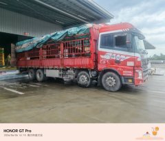SANY 430 hp 8X4 9.6 m - ფოტო 3