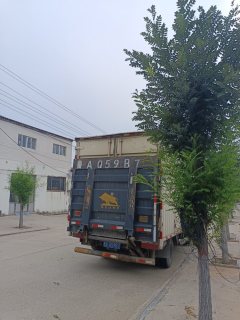 Feidie Aochi A-Series 143 hp 4X2 4.17 m - ფოტო 4