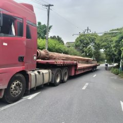 17.5 m x3 m 3 flatbed semi-trailer - ფოტო 5