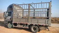 SINOTRUK HOWO Light Duty Truck Hanjiang 180 hp 4X2 4.15 m - ფოტო 2