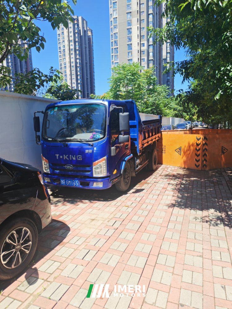 Tangjun UEFA Champions League 110 hp 4X2 3.2 m - грузовик из Китая