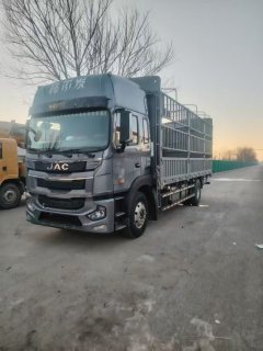 JAC Gallop Gelfa A5 260 hp 4X2 6.8 m - ფოტო 1