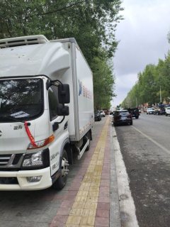 JAC Junling Shunling V6 170 hp 8X8 4.2 m - фото 2
