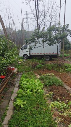 Foton M2 112 hp 4X2 3 m - ფოტო 3
