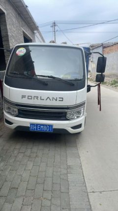 Foton Forland Navigator S1 150 hp 4X2 3.94 m - ფოტო 1