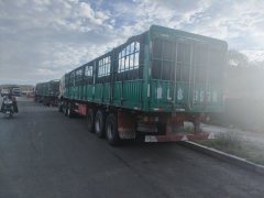 Shacman Delong New M3000 430 hp 6X4 - ფოტო 10