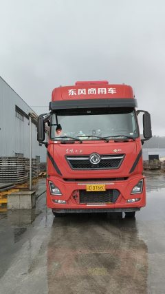 Dongfeng Tianlong 480 hp 6X4 - фото 9