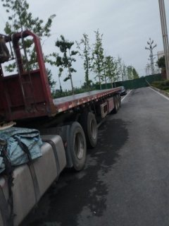 13 m x2.55 m 3 flatbed semi-trailer - ფოტო 1