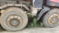 Sinotruk Steyr D5 300 hp 8X4 6 m - ფოტო 3