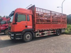 Sinotruk Sitrak G5 250 hp 4X2 6.8 m - photo 1