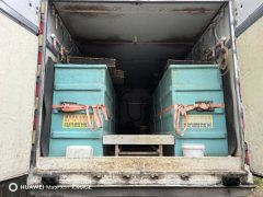 Foton Aumark S3 170 hp 4X2 5.25 m - ფოტო 5