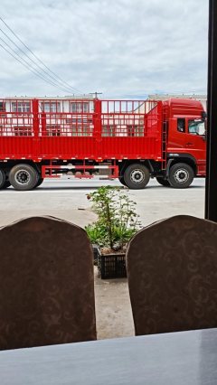 Dongfeng Tianlong VL 465 hp 8X4 9.6 m - ფოტო 3