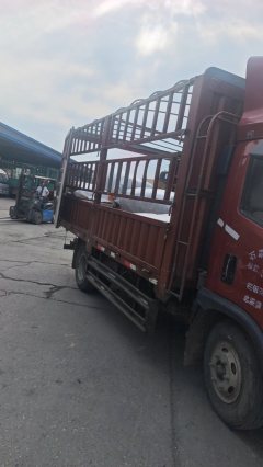 Foton Forland M6 160 hp 4X2 4.14 m - ფოტო 1