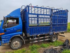 JAC Junling Jianghuai V5 115 hp 4X2 4.15 m - ფოტო 1