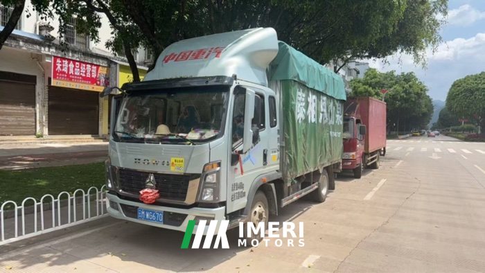 SINOTRUK HOWO Light Duty Truck Commander 170 hp 4X2 3.85 m - სატვირთო ჩინეთიდან