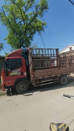 Sinotruk Wangpai 7 116 hp 4X2 4.16 m - ფოტო 1