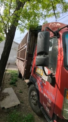 Sinotruk Wangpai 7 116 hp 4X2 4.16 m - ფოტო 5