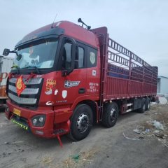 Foton Auman EST 430 hp 8X4 9.45 m - ფოტო 1