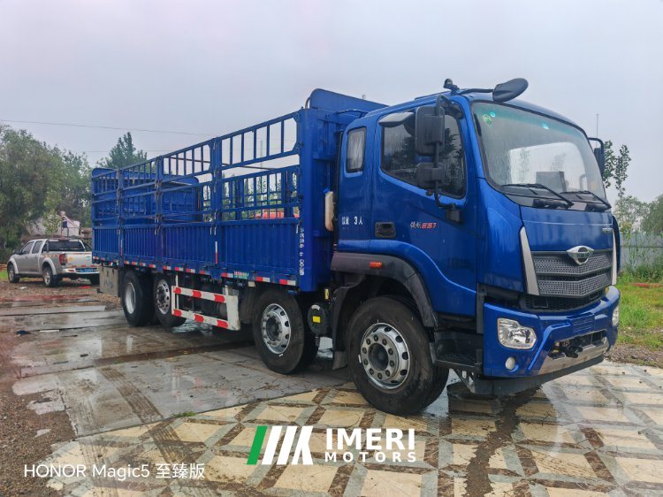 Foton Rowor ES7 270 hp 8X2 8 m - სატვირთო ჩინეთიდან