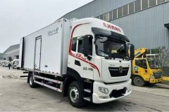 Dongfeng Tianjin KR PLUS 290 hp 4X2 9.6 m - photo 3