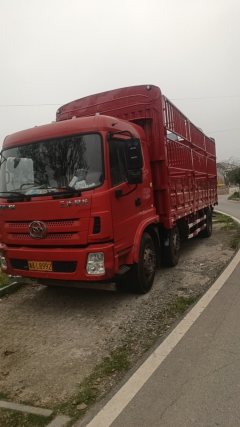 Dayun N8E 270 hp 4X2 - ფოტო 1