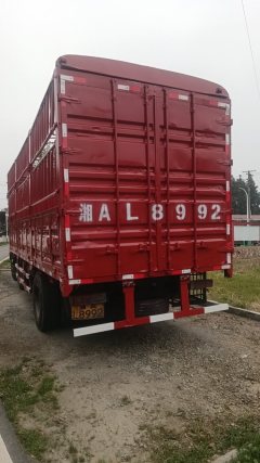 Dayun N8E 270 hp 4X2 - ფოტო 2