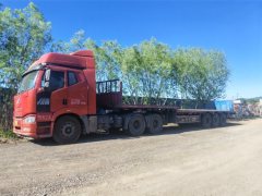 FAW Jiefang J6P 550 hp 6X4 - ფოტო 1