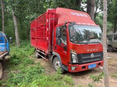 SINOTRUK HOWO Light Duty Truck PRO 155 hp 4X2 4.15 m - ფოტო 3