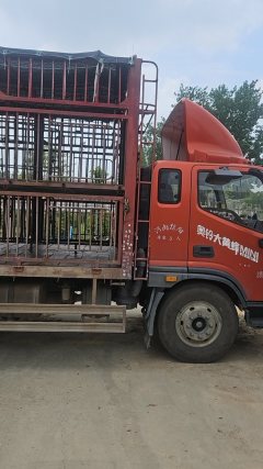 Foton Ollin CTS 190 hp 4X2 6.2 m - ფოტო 2