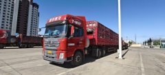 Shacman Delong X3000 460 hp 6X4 - фото 3