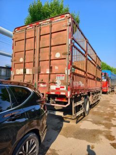 Dongfeng Liuzhou Chenglong H5 220 hp 4X2 6.8 m - ფოტო 2