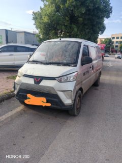 Lingshi EV50 2.52 m - ფოტო 2