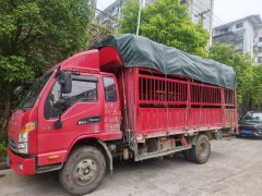 JAC J6 170 hp 4X2 4.18 m - ფოტო 2