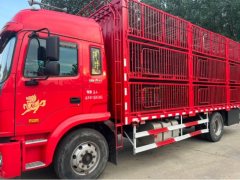 JAC Gallop Gelfa A5 220 hp 4X2 6.8 m - ფოტო 2