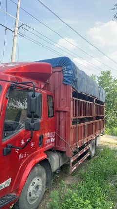 Shacman Delong K3000 160 hp 4X2 4.85 m - ფოტო 2