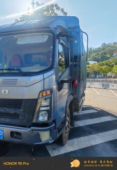 SINOTRUK HOWO Light Duty Truck Commander 160 hp 4X2 4.15 m - ფოტო 2