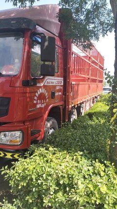 Shacman Delong L3000 245 hp 6X2 7.9 m - ფოტო 3